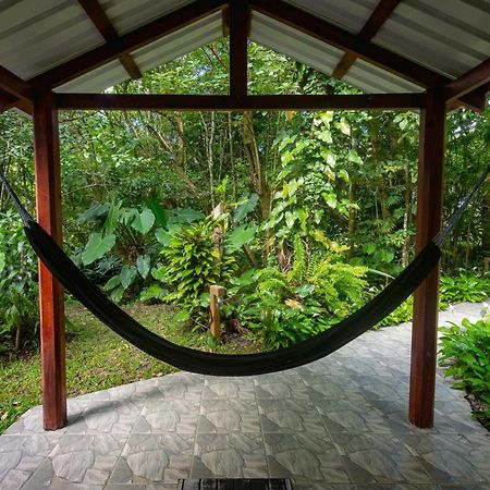 Cabanas Valle Campanas - Monteverde, Costa Rica Extérieur photo
